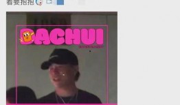 刘大锤爆料过谁了视频,揭秘娱乐圈惊人内幕